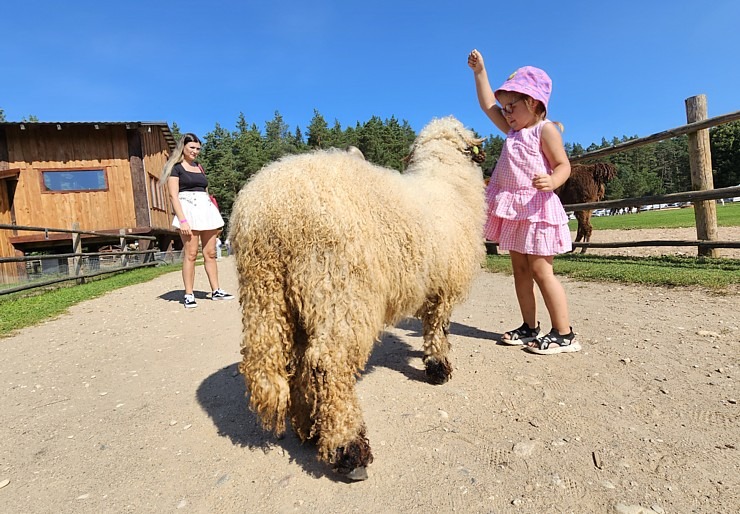 Travelnews.lv apmeklē «Rakšu» brīvdabas ZOO Cēsu novadā 358561