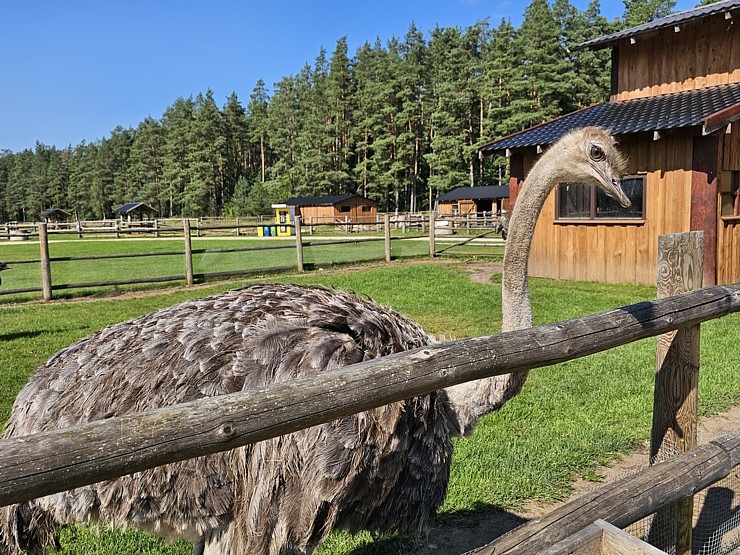 Travelnews.lv apmeklē «Rakšu» brīvdabas ZOO Cēsu novadā 358562