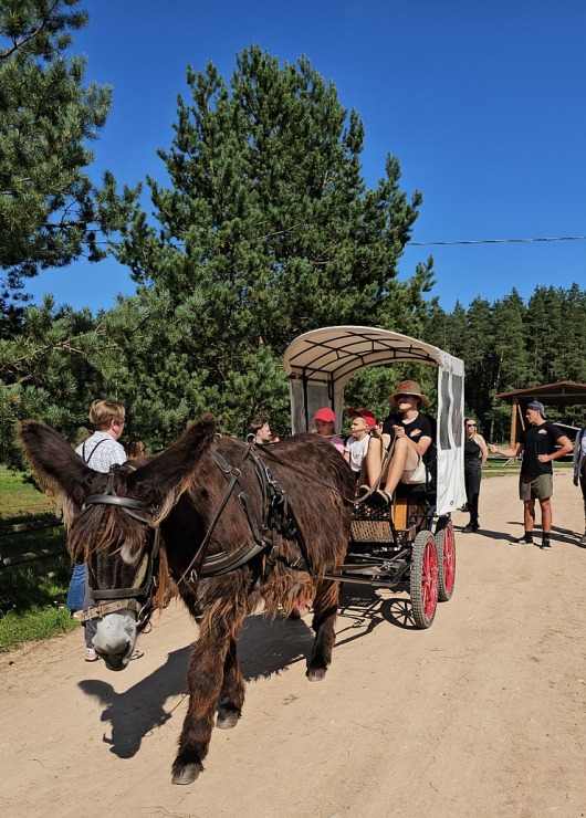 Travelnews.lv apmeklē «Rakšu» brīvdabas ZOO Cēsu novadā 358566