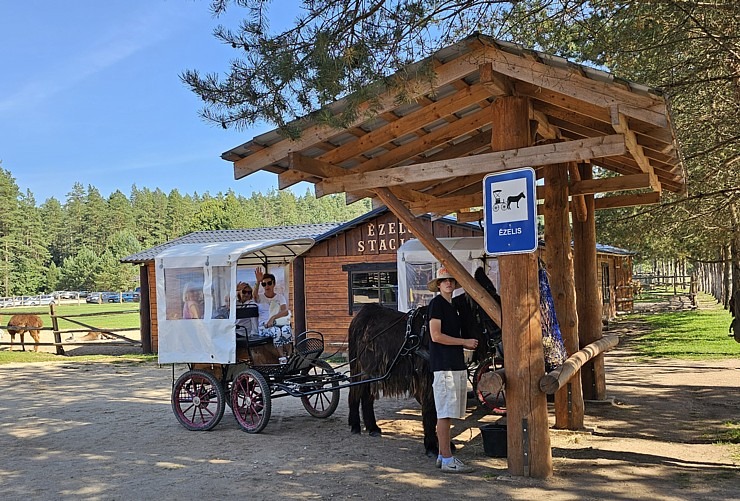 «Rakšu» brīvdabas ZOO Cēsu novadā piedāvā ne tikai kontaktu ar dzīvniekiem, bet arī teicamu infrastruktūru 358623