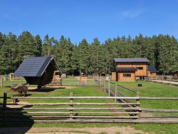 «Rakšu» brīvdabas ZOO Cēsu novadā piedāvā ne tikai kontaktu ar dzīvniekiem, bet arī teicamu infrastruktūru 358624