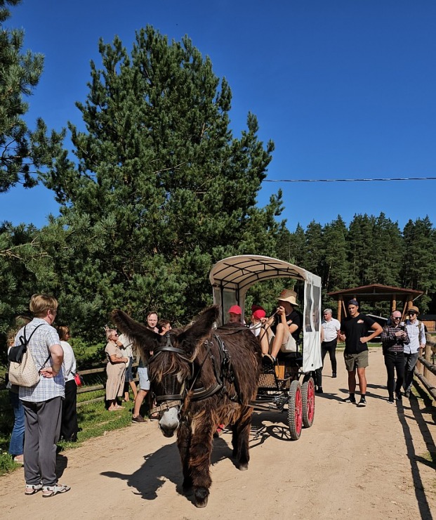 «Rakšu» brīvdabas ZOO Cēsu novadā piedāvā ne tikai kontaktu ar dzīvniekiem, bet arī teicamu infrastruktūru 358625