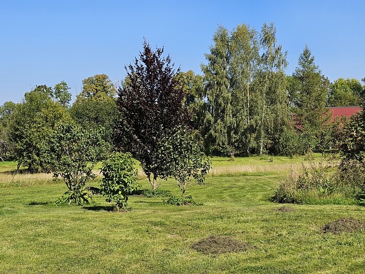 Tūrisma profesionāļi sadarbībā ar LIAA Tūrisma departamentu iepazīst Vidzemes tūrisma piedāvājumu 359205