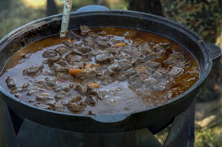 Zaubes savvaļas kulinārais festivāls pulcē dabas garšu un tautas pavārmākslas cienītājus. Foto: Andris Eglītis 359723