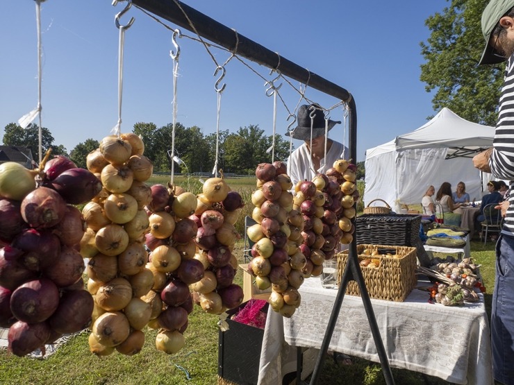 Zaubes savvaļas kulinārais festivāls pulcē dabas garšu un tautas pavārmākslas cienītājus. Foto: Andris Eglītis 359743