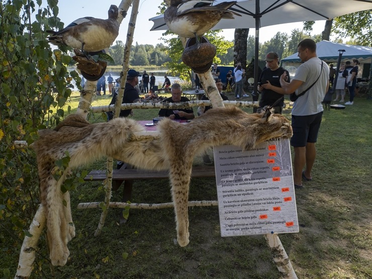 Zaubes savvaļas kulinārais festivāls pulcē dabas garšu un tautas pavārmākslas cienītājus. Foto: Andris Eglītis 359751