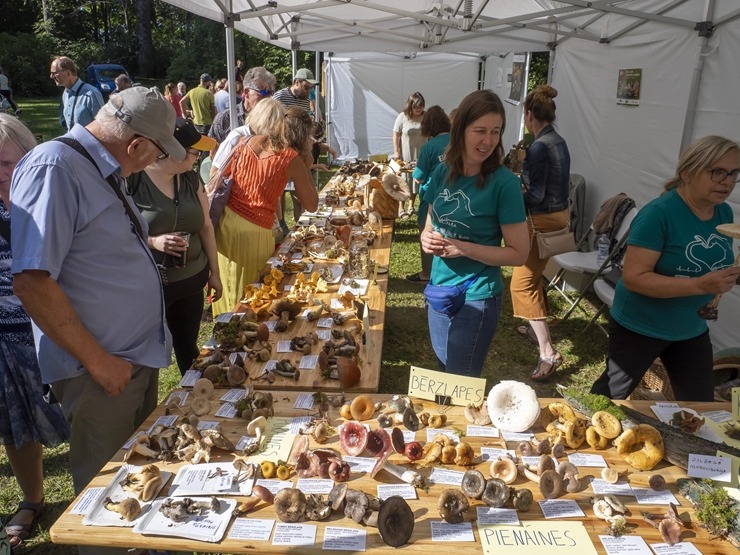 Zaubes savvaļas kulinārais festivāls pulcē dabas garšu un tautas pavārmākslas cienītājus. Foto: Andris Eglītis 359719