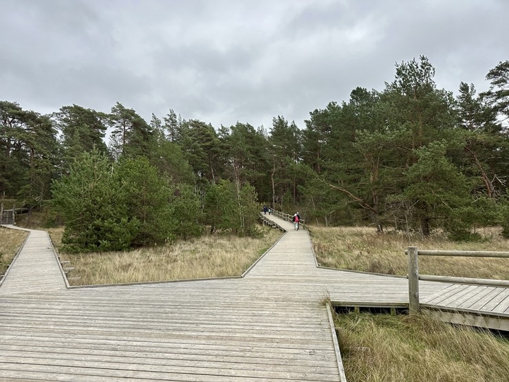 Daži fotomirkļi no pārgājienu seriāla «IzPēDO Dienvidkurzemi» Bernātu posma. Foto: Dienvidkurzeme.Travel 363955