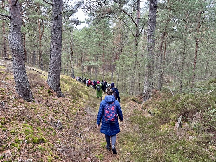 Daži fotomirkļi no pārgājienu seriāla «IzPēDO Dienvidkurzemi» Bernātu posma. Foto: Dienvidkurzeme.Travel 363945