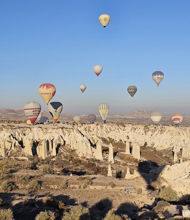 Sadarbībā ar «Turkish Airlines» saullēkta gaismā lidojam ar gandrīz 100 gaisa baloniem vienlaicīgi 364734