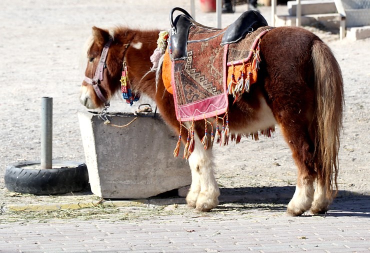 Daži foto mirkļi no ceļojuma uz Kapadokiju Turcijā 365167