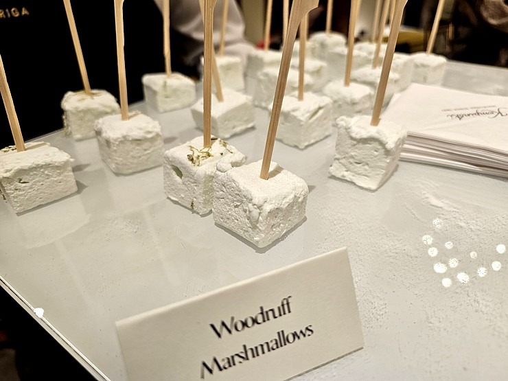 Vecrīgas viesnīcā «Grand Hotel Kempinski Riga« atklāj mākslinieces Ilzes Laizānes izstādi «Amore Art & Fashion» 369659
