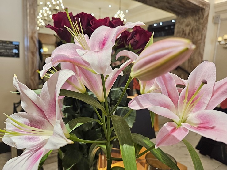 Vecrīgas viesnīcā «Grand Hotel Kempinski Riga« atklāj mākslinieces Ilzes Laizānes izstādi «Amore Art & Fashion» 369668