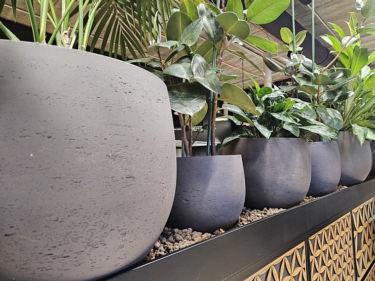 Mārupes restorāns «Hercogs Garden» atklāj pavasara garšu festivālu un aicina rīkot svinības 369701