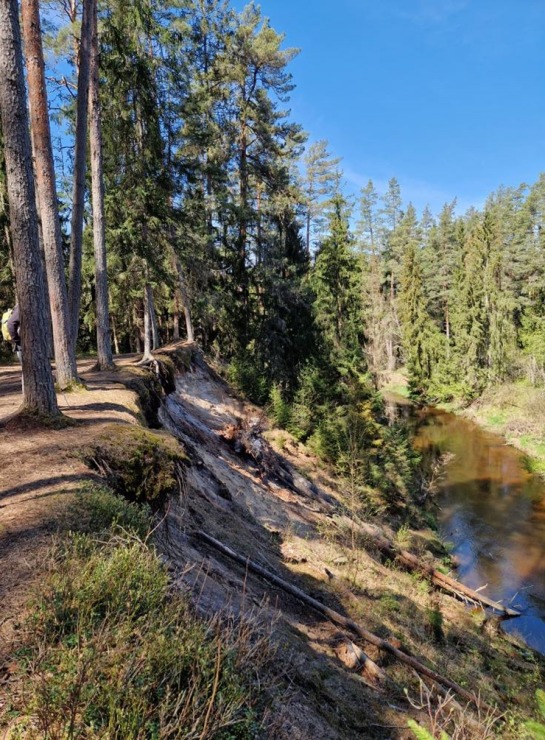 Pārgājiens starp diviem alus brūžiem - no Valmiermuižas līdz Brenguļiem - gar Gauju un Abulu. Foto: Inese Šīrava 370787