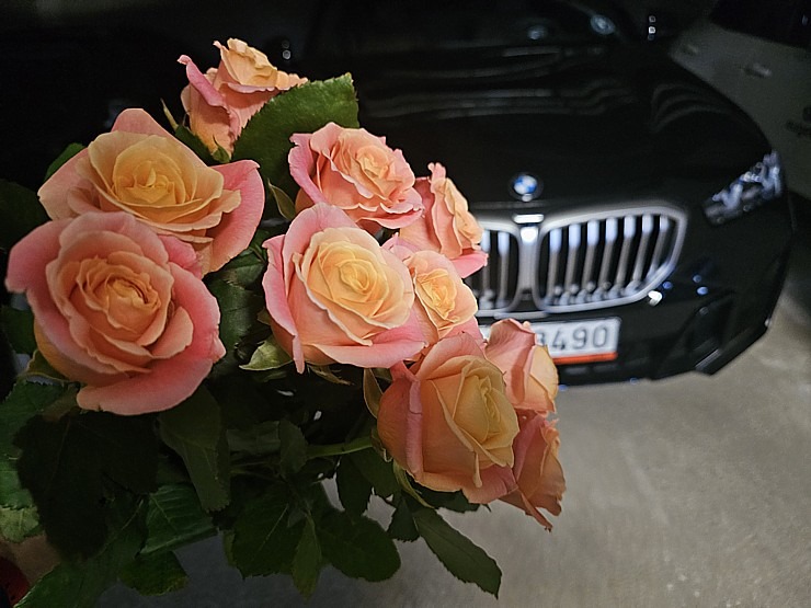 Sadarbībā ar auto nomu «Sixt Latvija» apceļojam Latviju ar vāģi «BMW X5» 371002