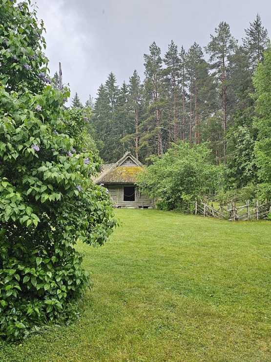 Igaunijas salā apmeklējam Hijumā brīvdabas muzeju 373543