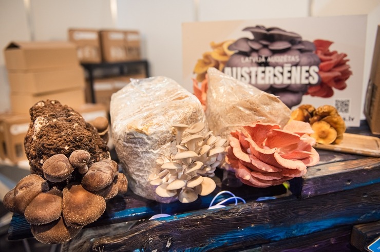 Ķīpsalā norit Baltijas lielākā pārtikas industrijas izstāde «Riga Food 2025», kurai ir jau 30 gadu dzimšanas diena. Foto: Ieva Makare 376368