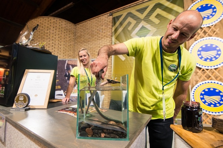 Ķīpsalā norit Baltijas lielākā pārtikas industrijas izstāde «Riga Food 2025», kurai ir jau 30 gadu dzimšanas diena. Foto: Ieva Makare 376391