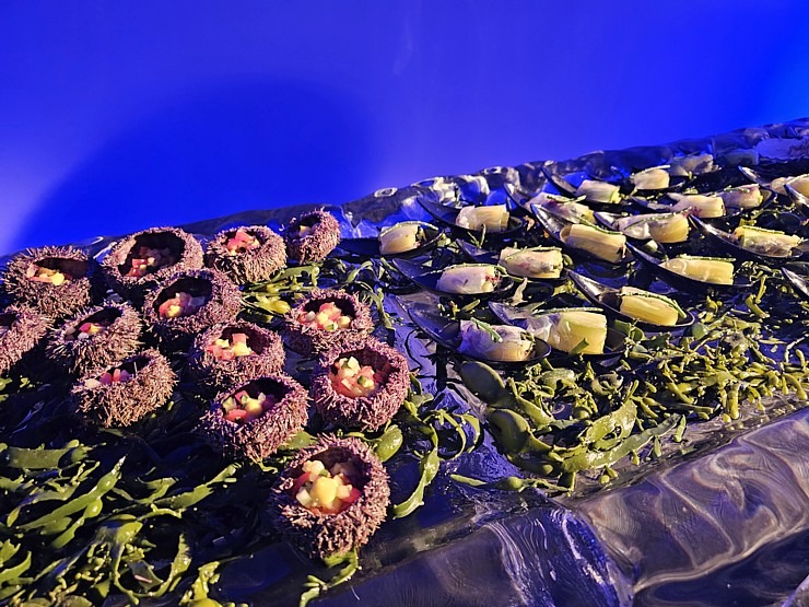 Ar grandiozu pasākumu «Four Senses of Nature» pēc renovācijas piesakās Vecrīgas 5 zvaigžņu viesnīca «Pullman Riga Old Town Hotel» Ar grandiozu pasākumu «Four Senses of Nature» pēc renovācijas piesakās Vecrīgas 5 zvaigžņu viesnīca «Pullman Riga Old Town Hotel» 377854