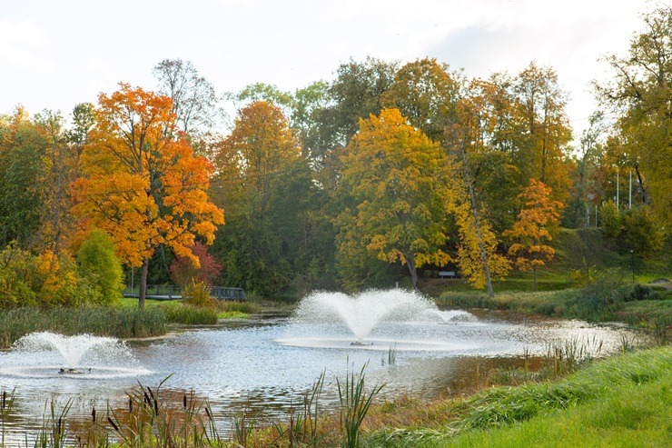 Nāk rudens izgreznot Dobeli 379523