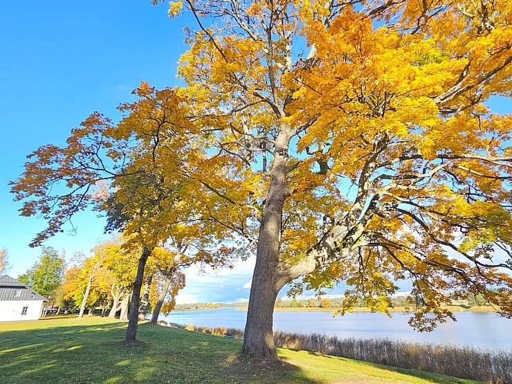 Apmeklējam Vārves muižas kompleksu Ventas krastā Ventspils novadā 380046