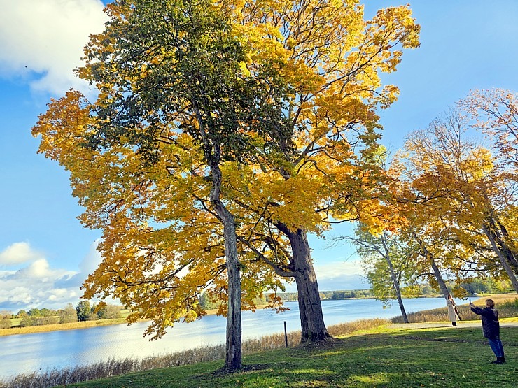 Apmeklējam Vārves muižas kompleksu Ventas krastā Ventspils novadā  Apmeklējam Vārves muižas kompleksu Ventas krastā Ventspils novadā 380047