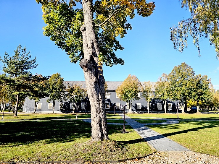 Apmeklējam Vārves muižas kompleksu Ventas krastā Ventspils novadā  Apmeklējam Vārves muižas kompleksu Ventas krastā Ventspils novadā 380077