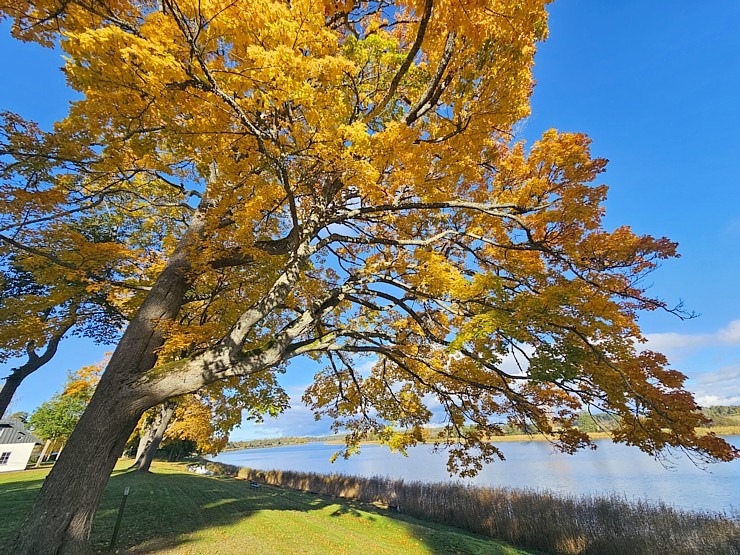 Apmeklējam Vārves muižas kompleksu Ventas krastā Ventspils novadā  Apmeklējam Vārves muižas kompleksu Ventas krastā Ventspils novadā 380078