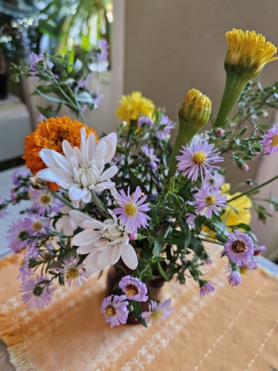 Iepazīstam klasicisma stila Jaunauces pili Saldus novadā  Iepazīstam klasicisma stila Jaunauces pili Saldus novadā 380281