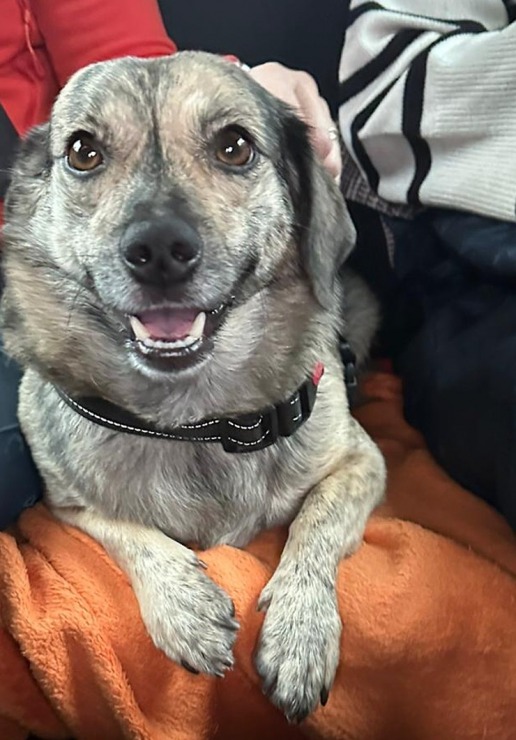 Rīgas Restorānu nedēļas akcijā piedalās arī Mārupes ģimenes restorāns «Hercogs» ar īpašu piedāvājumu Rīgas Restorānu nedēļas akcijā piedalās arī Mārupes ģimenes restorāns «Hercogs» ar īpašu piedāvājumu 380760