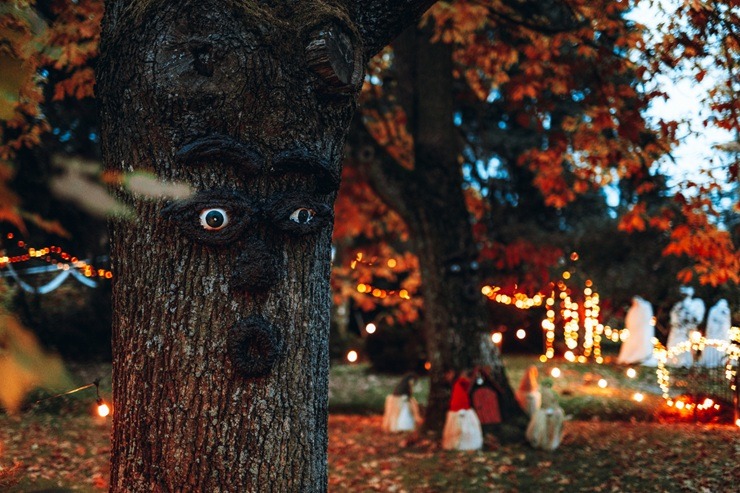 Spoku nakts takas ģimenēm 2025 – Ģimenēm draudzīgākais rudens āra festivāls Salaspilī 380769