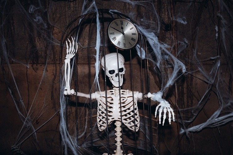 Spoku nakts takas ģimenēm 2025 – Ģimenēm draudzīgākais rudens āra festivāls Salaspilī 380772