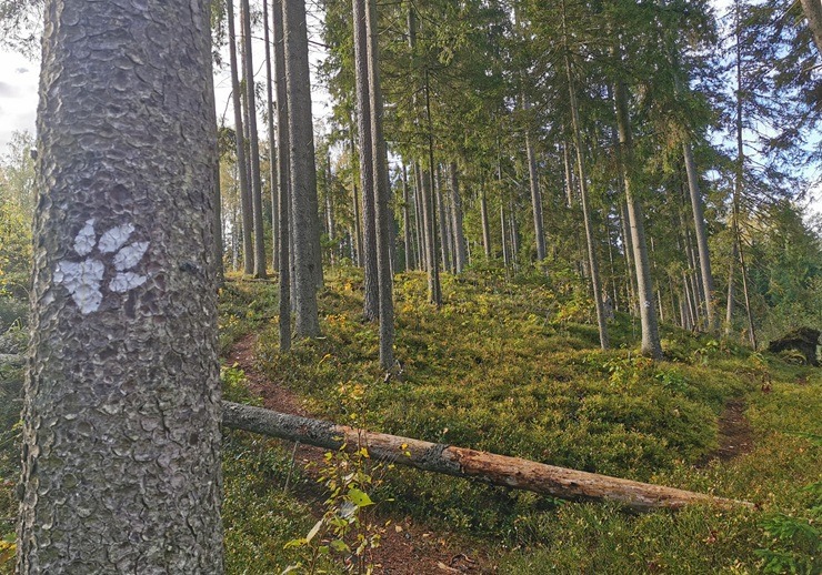 Vietas ar senvēsturi un mistiku Tukuma apkārtnē 380800