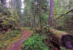 Vietas ar senvēsturi un mistiku Tukuma apkārtnē 13