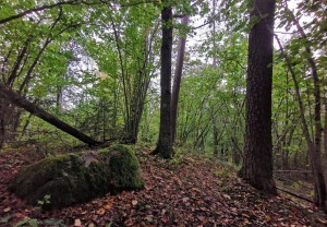 Vietas ar senvēsturi un mistiku Tukuma apkārtnē 15