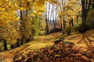 Vietas ar senvēsturi un mistiku Tukuma apkārtnē 3