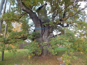 Vietas ar senvēsturi un mistiku Tukuma apkārtnē 9