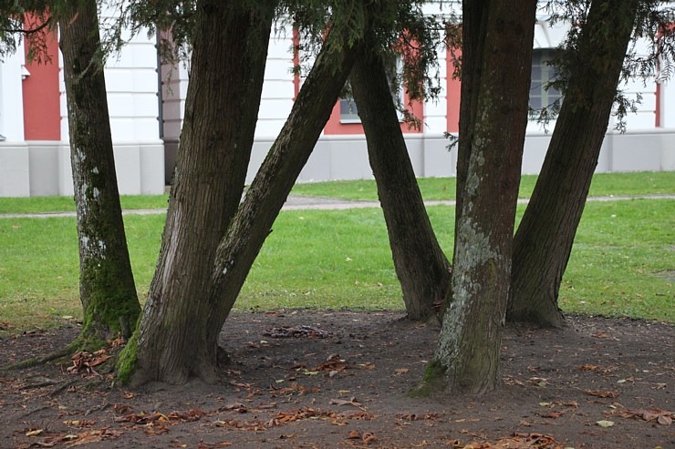 Apceļojam Latviju ar 486 zirgspēku jaudīgo « Xpeng G6 » - Jelgavas pils. Sadarbībā ar Autobrava 380938