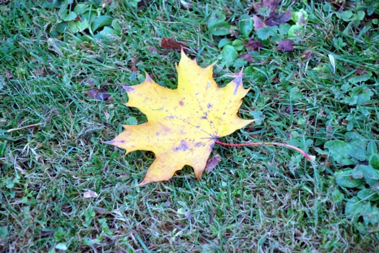 Apceļojam Latviju ar 486 zirgspēku jaudīgo « Xpeng G6 » - Jelgavas pils. Sadarbībā ar Autobrava 380950