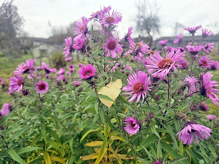 Ar 486 zirgspēku jaudīgo « Xpeng G6 » dodamies uz Latgales laukiem. Sadarbībā ar Autobrava 380992