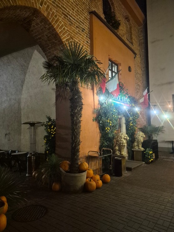 Travelnews.lv izmanto pēdējo iespēju ar «Ryanair» aizlidot uz Gdaņsku un dodas vakara pastaigā uz Motlavas upes krastmalu 381018