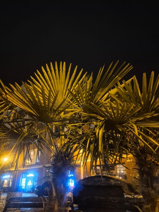 Travelnews.lv izmanto pēdējo iespēju ar «Ryanair» aizlidot uz Gdaņsku un dodas vakara pastaigā uz Motlavas upes krastmalu 381012