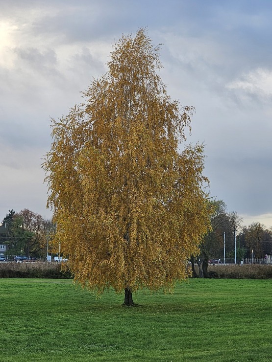 Apceļojam Latviju ar 486 zirgspēku jaudīgo « Xpeng G6 » no auto centra «Autobrava» 381030