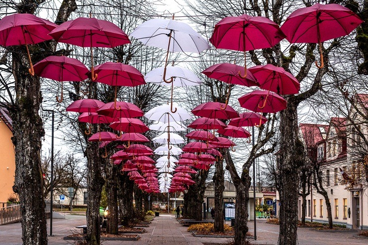 Ogre iedvesmo: Patriotiskais novembris ir klāt 381068