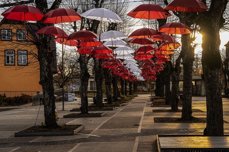 Ogre iedvesmo: Patriotiskais novembris ir klāt 381073