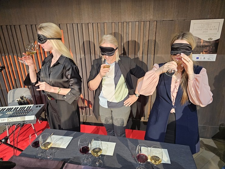 Vecrīgas viesnīcā «Pullman Riga Old Town» notiek «Latvijas augļu - ogu un vīnogu vīnu skate 2025» 381857