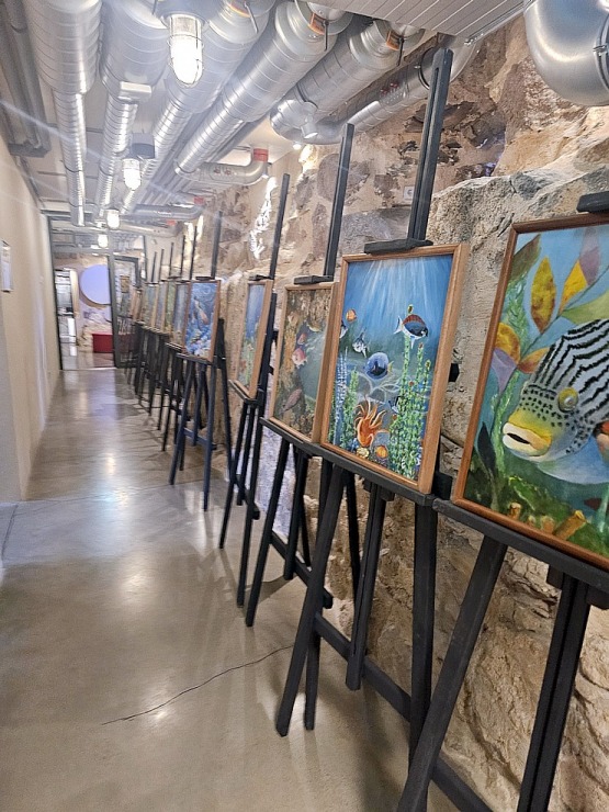 Sadarbībā ar auto nomu «Europcar Latvija» iepazīstam Dobeles pili 381931