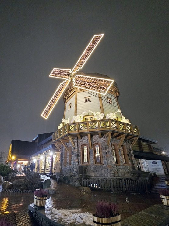 Pārliecināmies, ka «LIDO» Atpūtas centra Ziemassvētku egli tiešā veidā neredz, bet tā tomēr ir! 381983