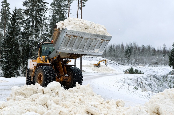 Madona novads gaida ziemas prieku cienītājus - Smeceres sils (Foto: A.Veckalniņš) 382043